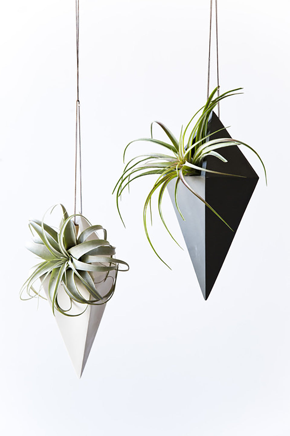 Ballast Pendant Planter