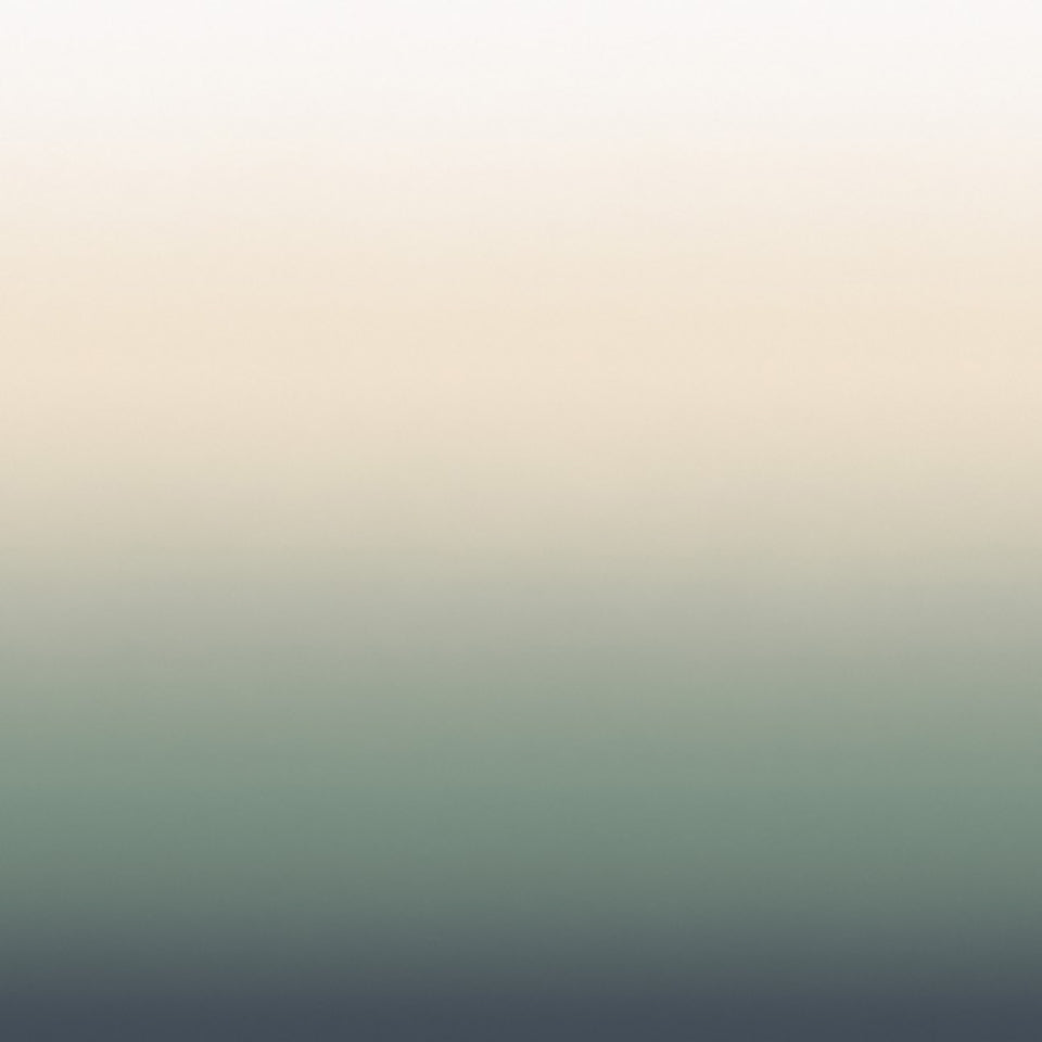 Aurora | Bayou
