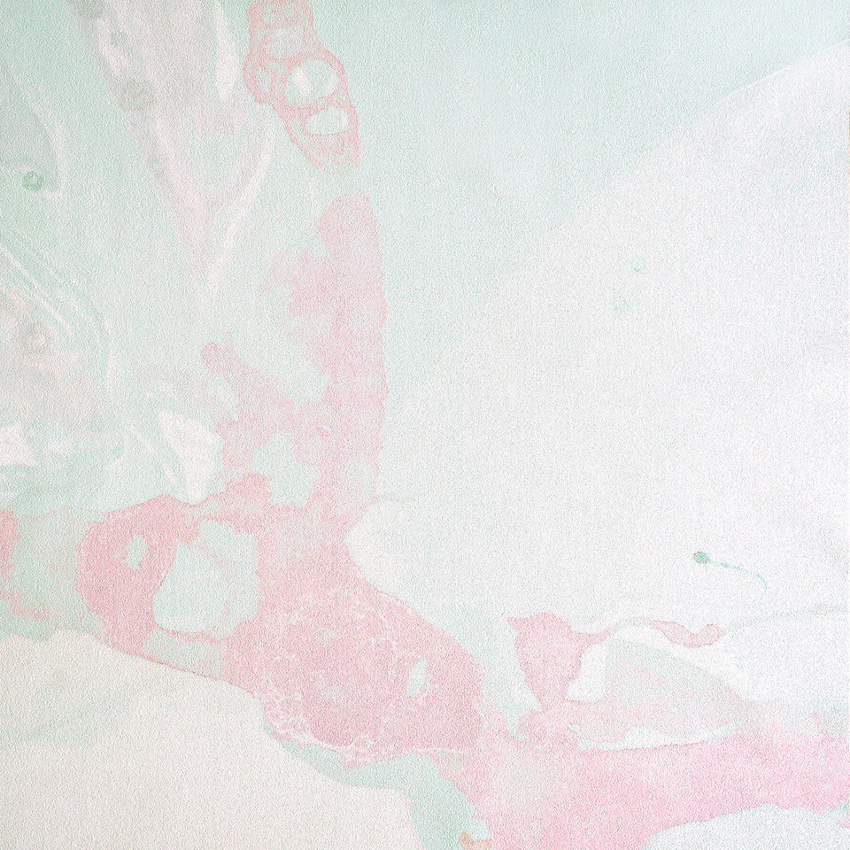 Microcosmos | Linger