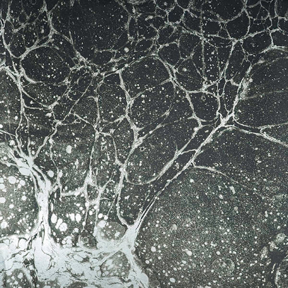 Lunaris | Midnight