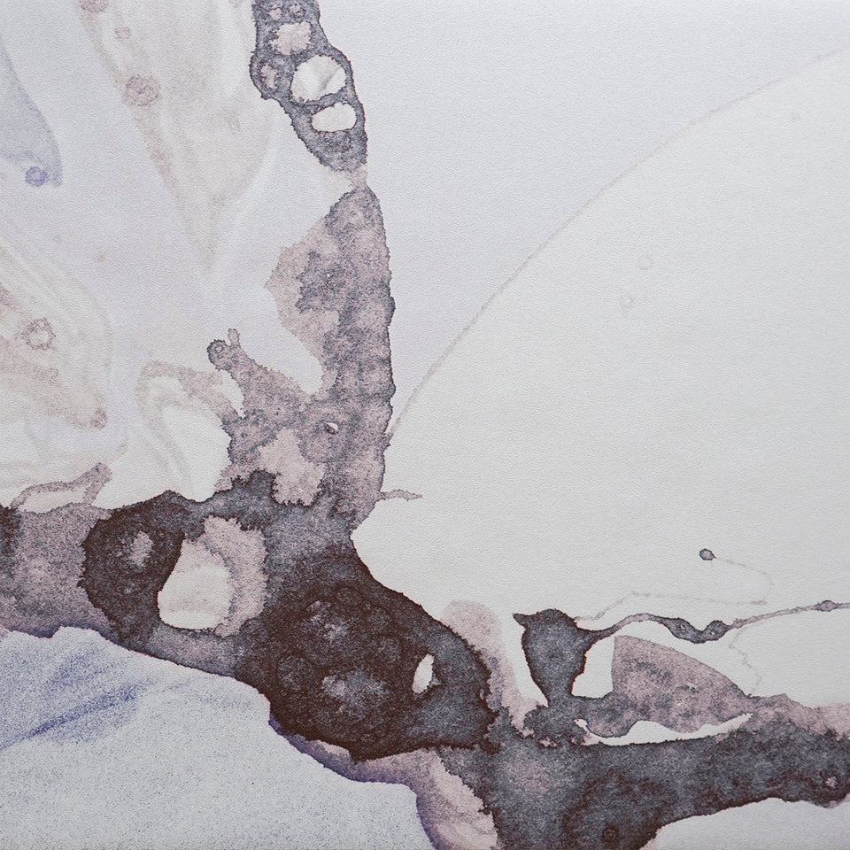 Microcosmos | Plume