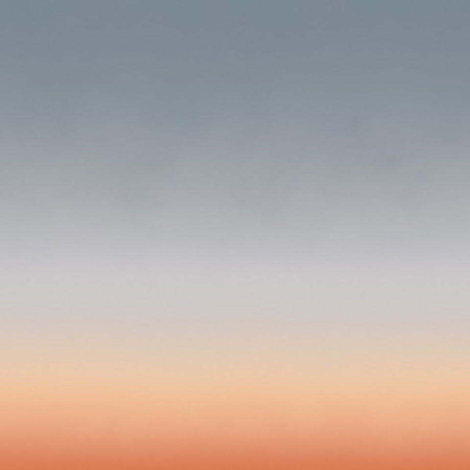 Aurora | Ray