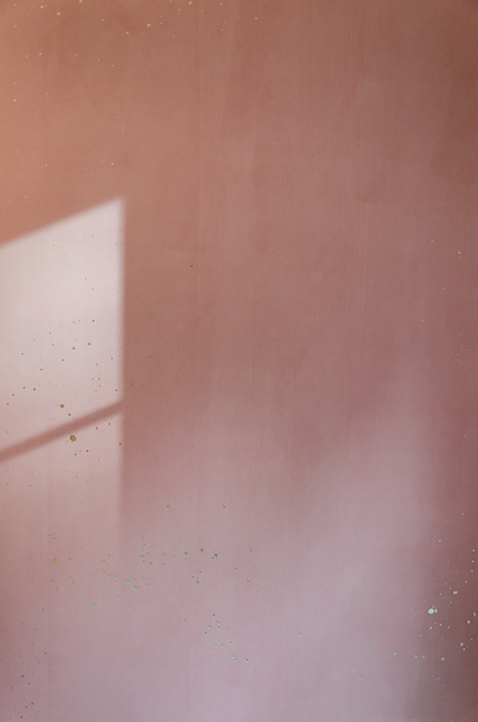 Cosmos | Rose Vuono